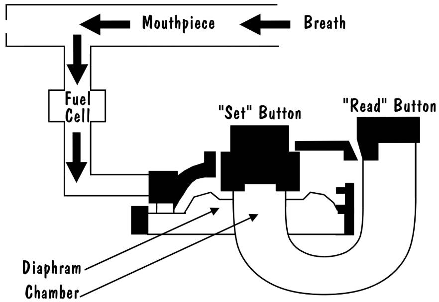 Electrochemical Oxidation (Fuel Cell)